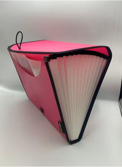 Aroma A4 Expanding File Organizer – 13 Pocket Document Folder with Elastic Closure (Pink)