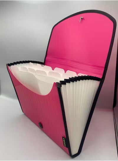 Aroma A4 Expanding File Organizer – 13 Pocket Document Folder with Elastic Closure (Pink)
