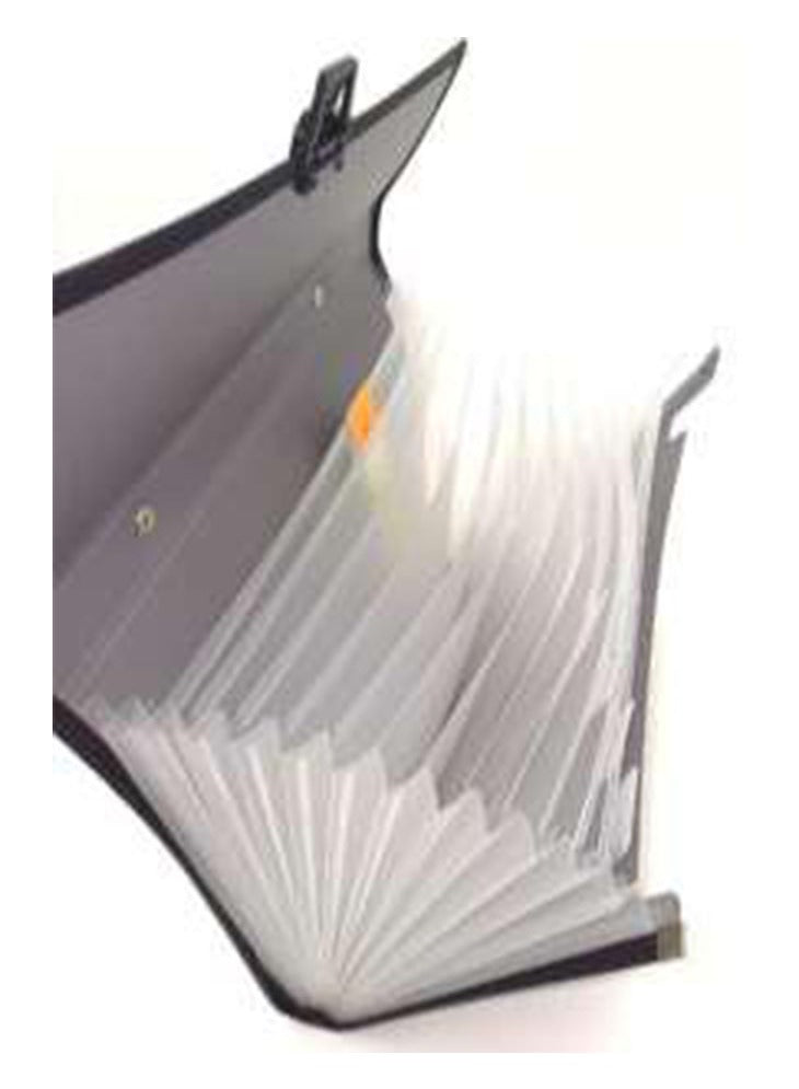 Aroma Expandable File Folder for Office and School – A4 Document Organizer with Handle – Black